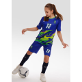 6-FUT-K22-SUBL